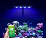 Accesorios para acuarios
