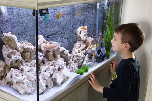 Acuario Ecosistema Arrecifal